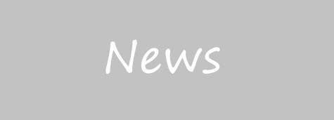 Wiltshire Council Updates